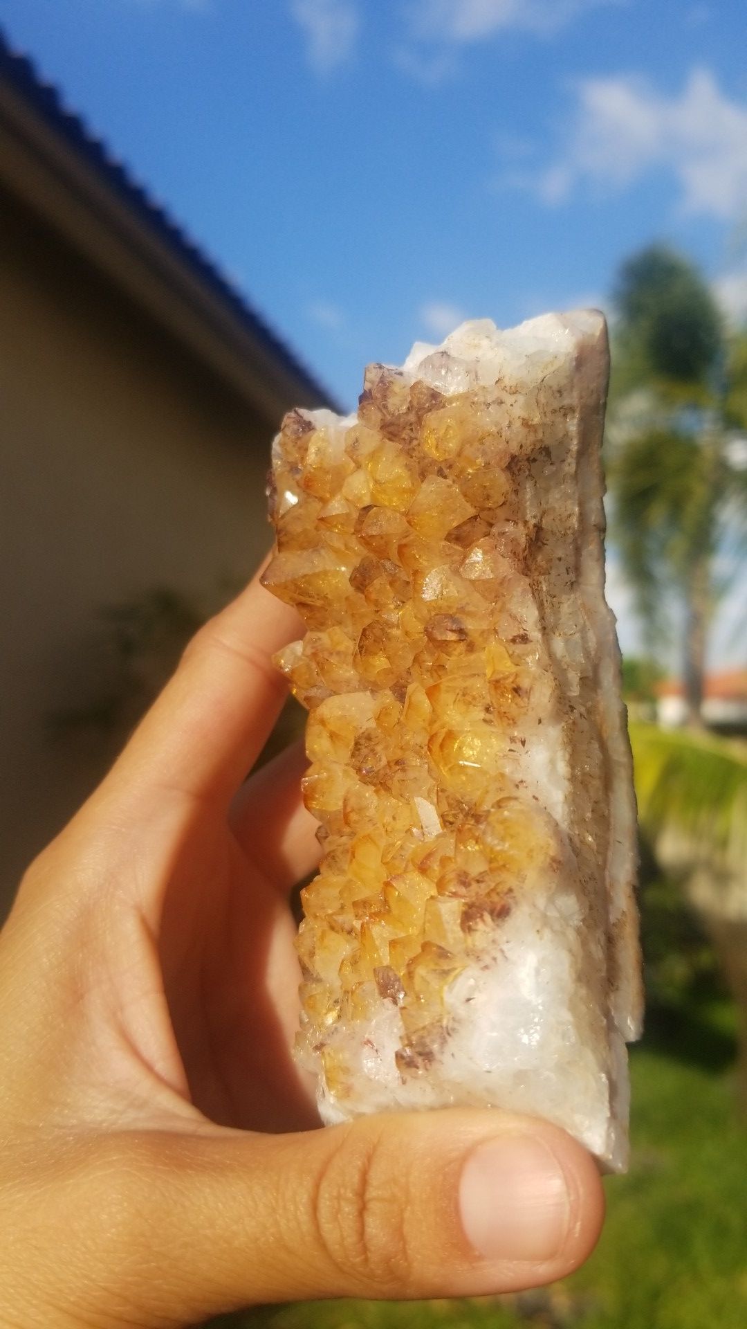 Citrine Cluster with Hematite Flakes