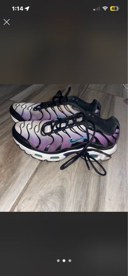Nike Air Max Plus Sneakers