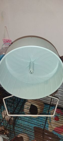 Hampster wheel