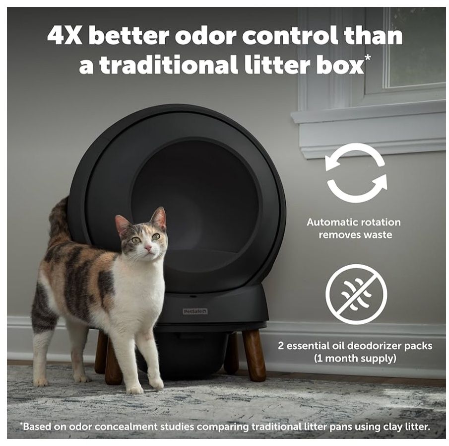 Cat Litter