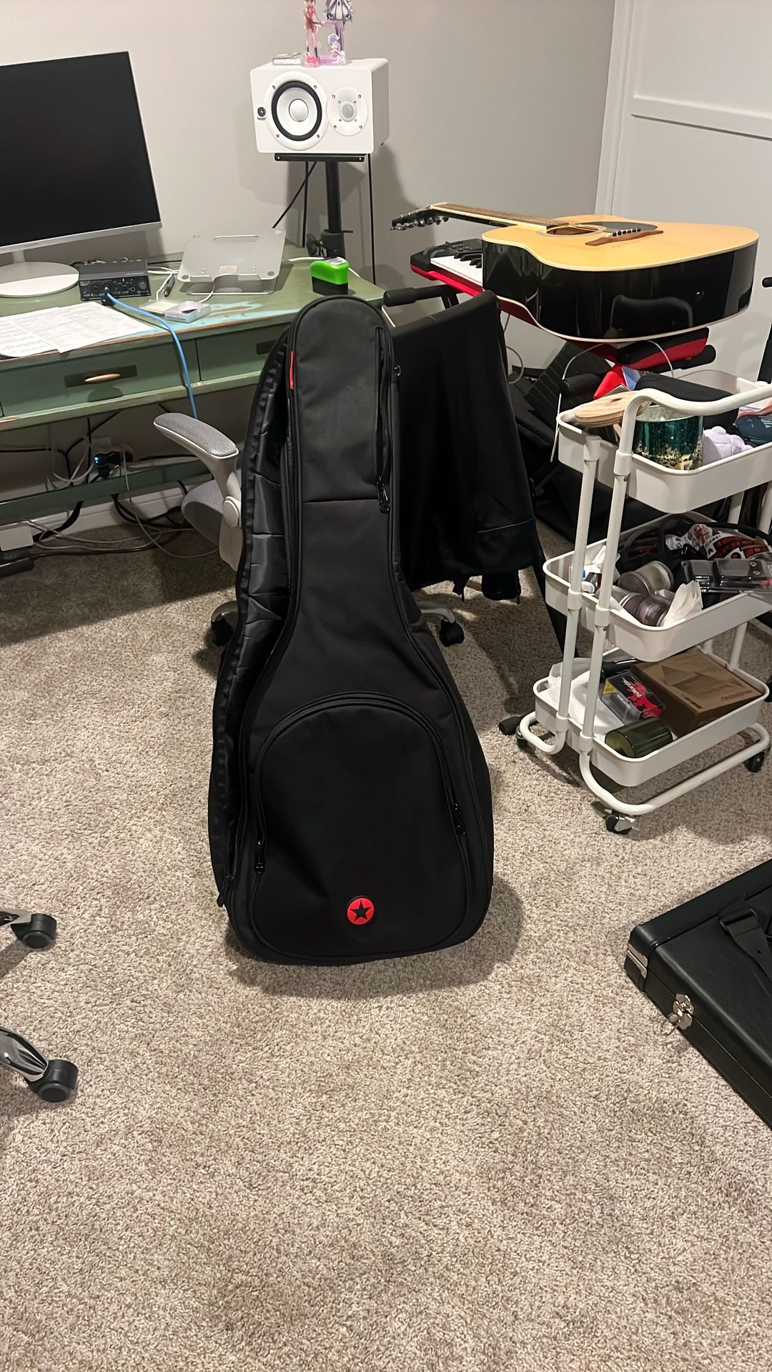 guitar bag