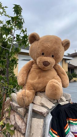 Large bear