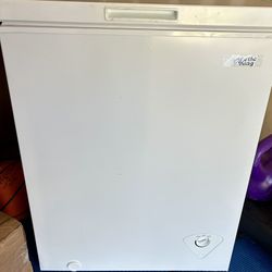 Arctic King freezer