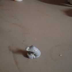 Circus Elephant