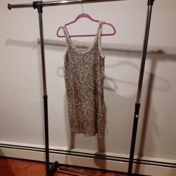 Sequined Silver Dress