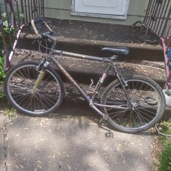 Vintage 90's GIANT Mountain Bike Aluminum FRAME & Tires