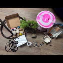 30 Gallon Tank With Accessories 