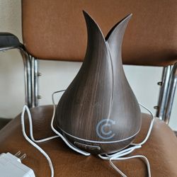 Humidifier 