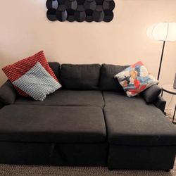 Baerl 76" Sofa Bed Pull Out Bed with Storage Chaise