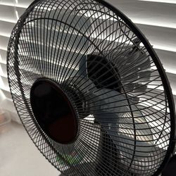 Small Fan And Long Fan With Stand