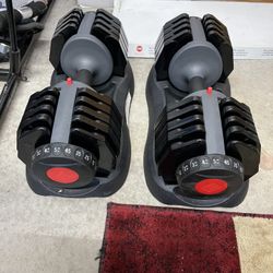 Ethos 50 lb. Adjustable/Selectable Dumbbells (Pair)