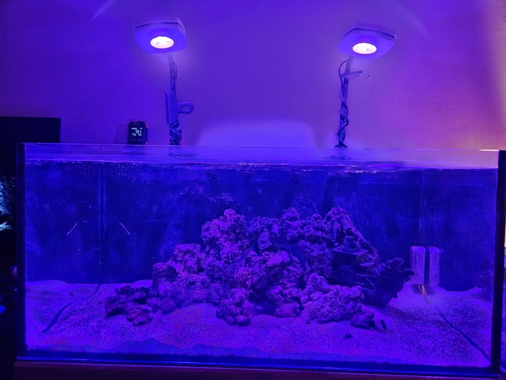 AIO Saltwater Aquarium