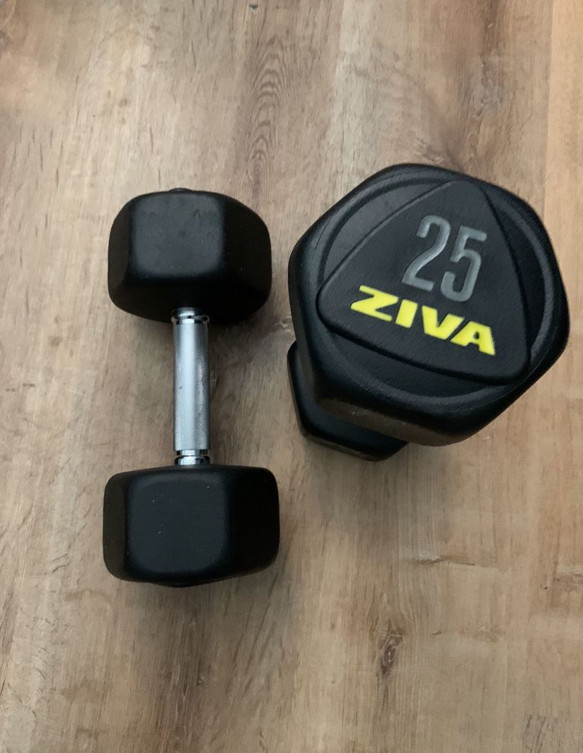 Set of dumbbells (25 and 10 pounds) and a bench