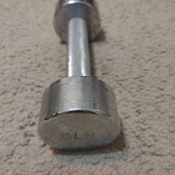 5 Lbs Chrome Dumbbell