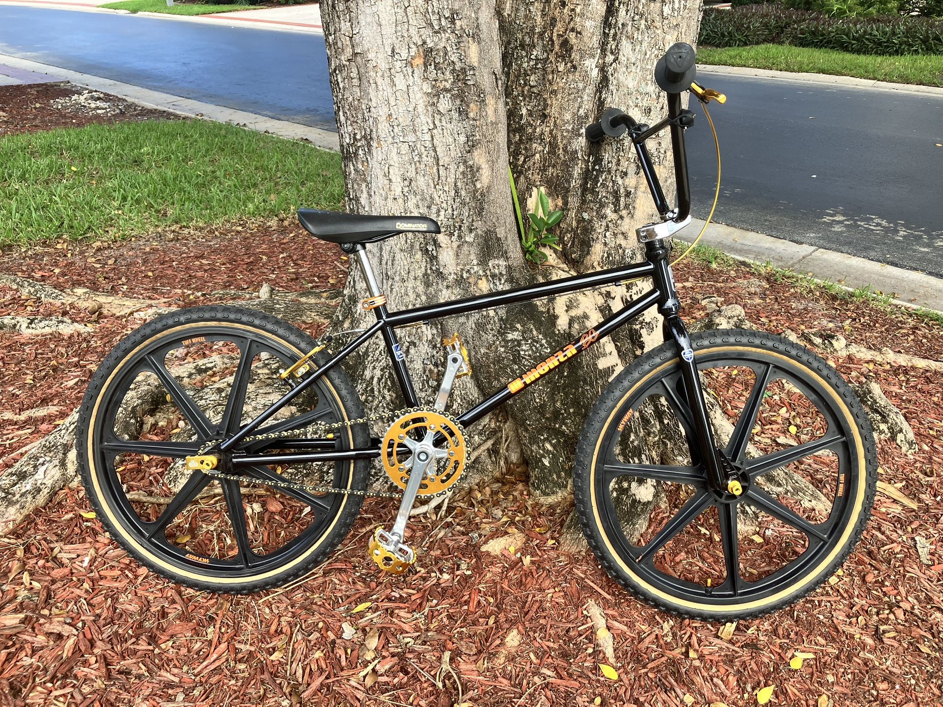BMX 24" Monza BC with Skyway Mag Wheels