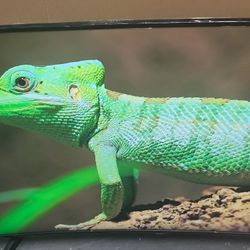 Samsung 55 Class TU8300 Curved LED UHD Smart TV 4K(2160p) HDR10+