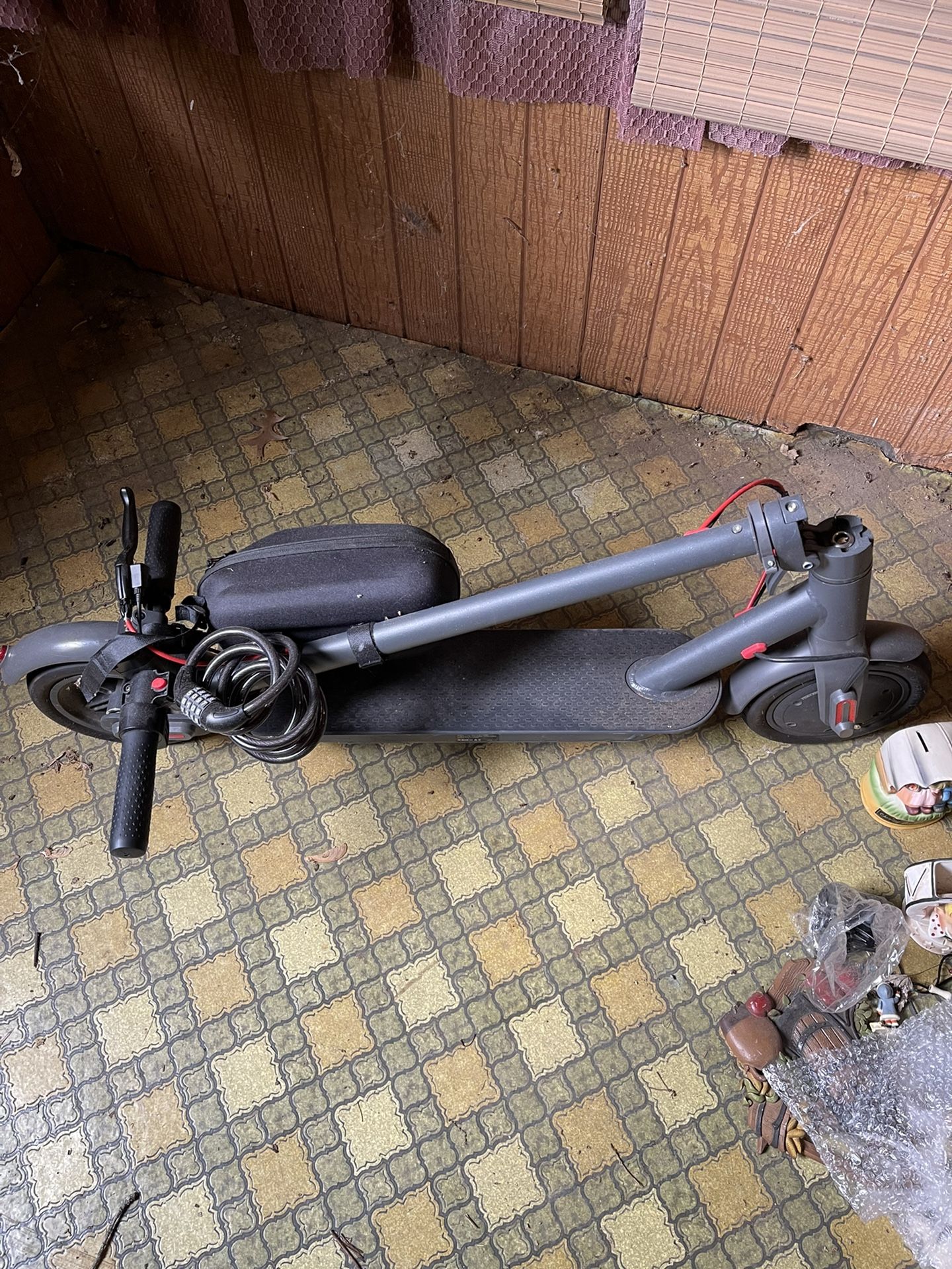 Electric Scooter 