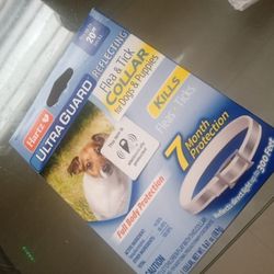 Dog CRATE,  Tick and Flea Collar , Travel Carrier  and HARNESS (small)