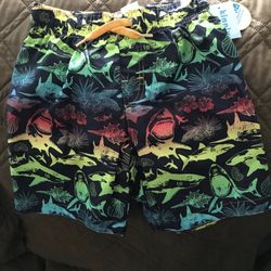 New Boys Swim Trunks Size XS 4-5 