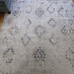 8x10 Area Rug