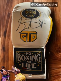 Signed Gervonta “Tank” Davis Glove (JSA Cert)