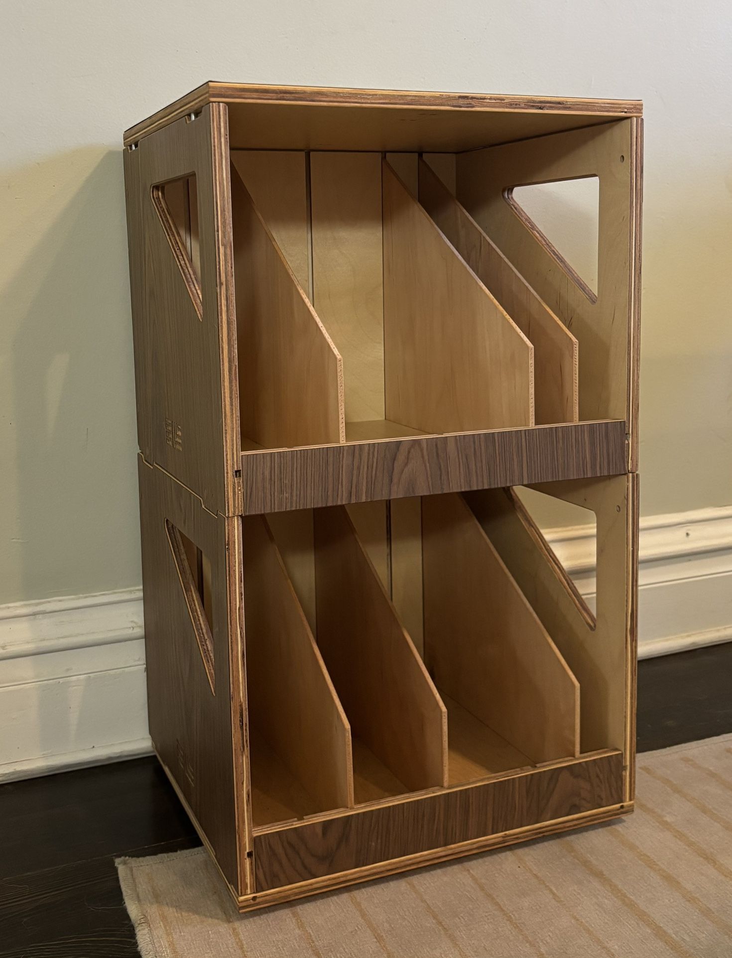 Vinyl Record Storage