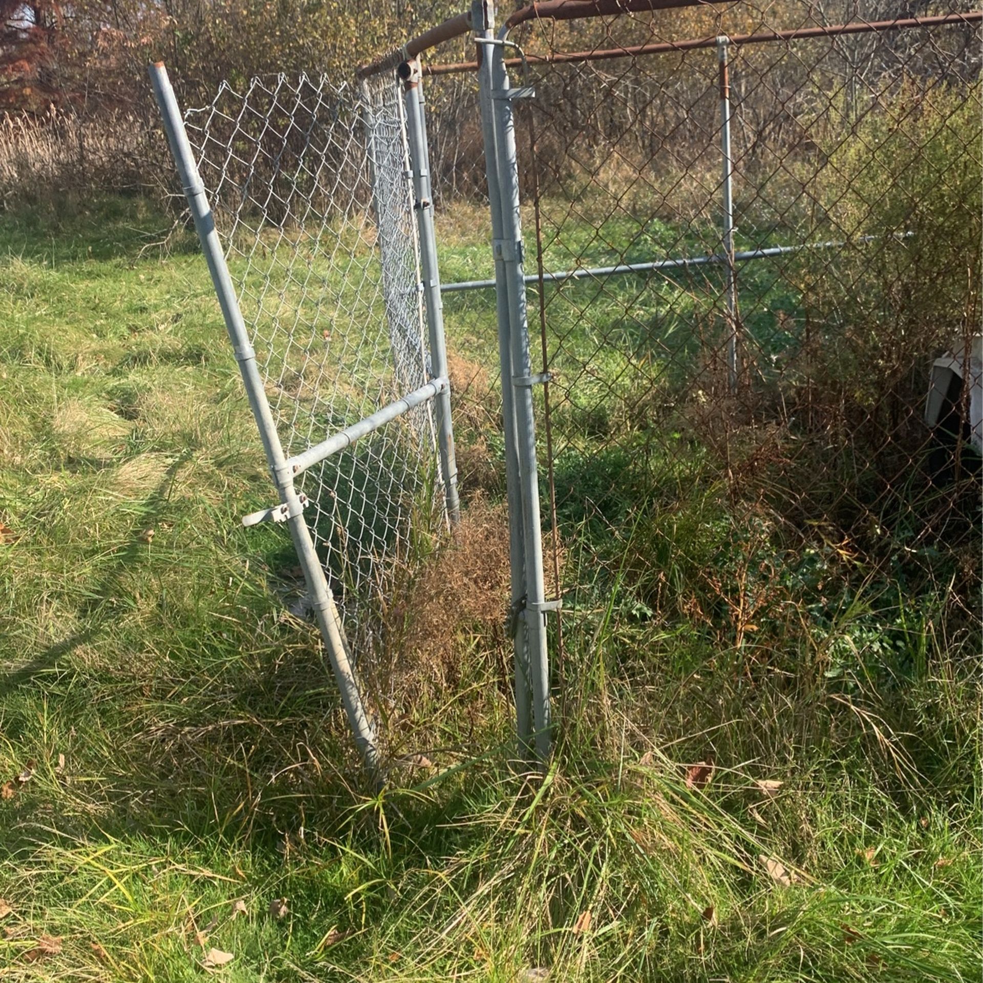 Outside Dog Cage