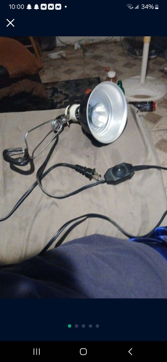 Reptile Heat Lamp & Light