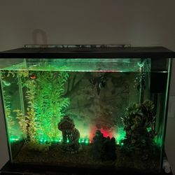 Fish Tank Fish and stand