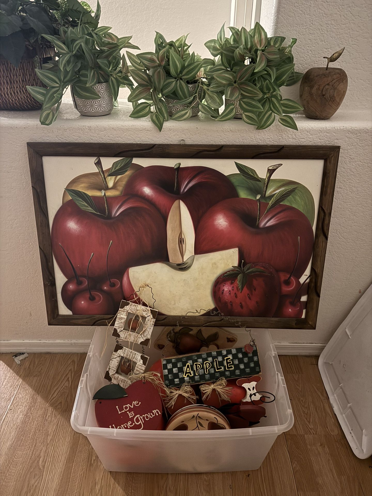 Apples And Plants