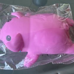 Squishy Pig