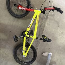 Tony Hawk Bike 