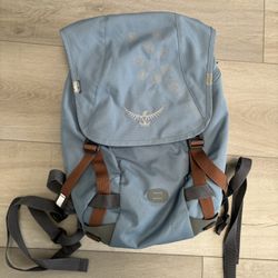 Osprey Travel Backpack 