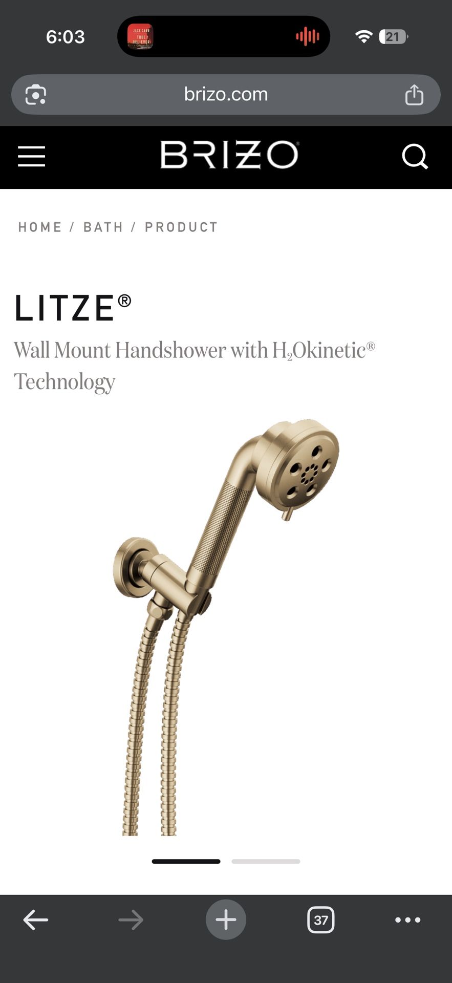 Wall Mount Handshower with H2Okinetic® Technology Luxe Gold 88835-GL