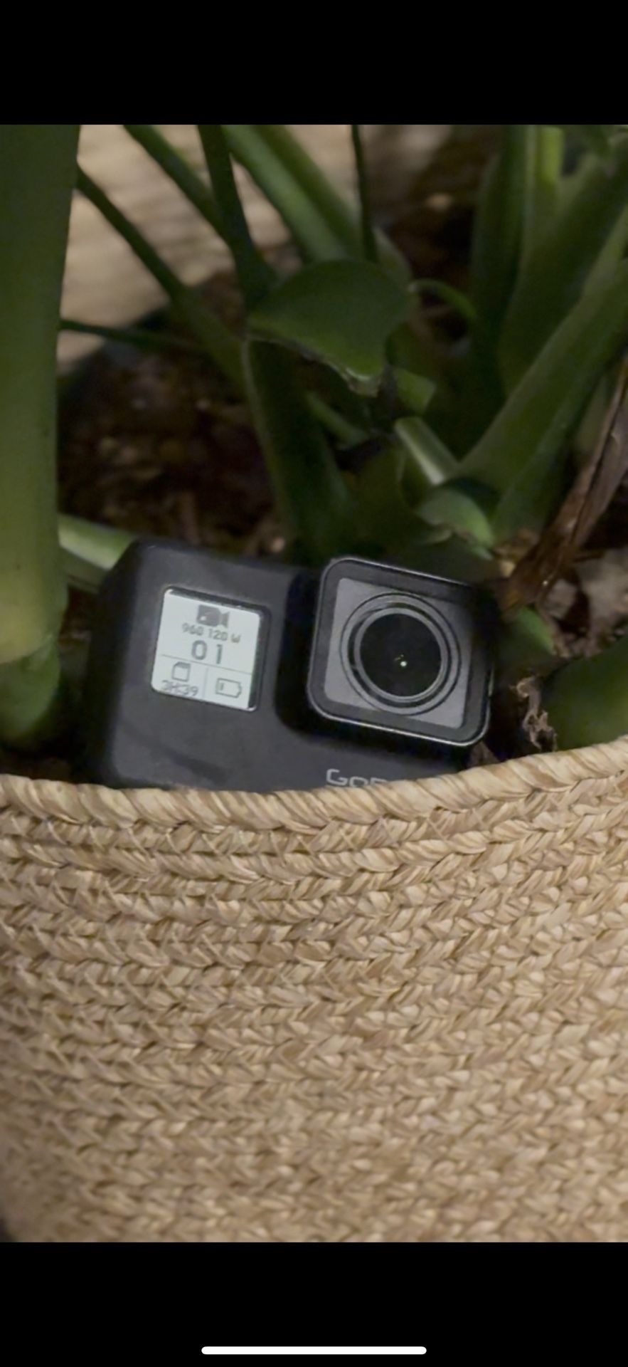 Go Pro