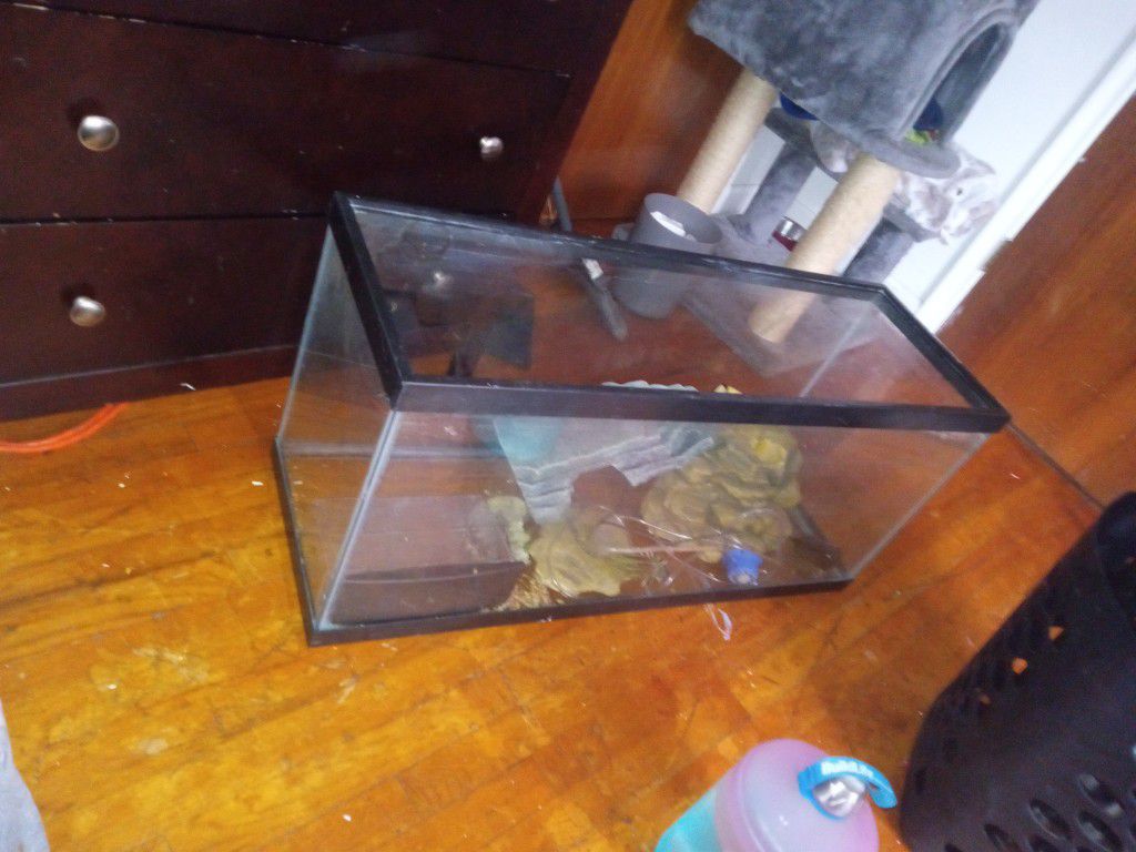 Fish Tank With Decorative Items 