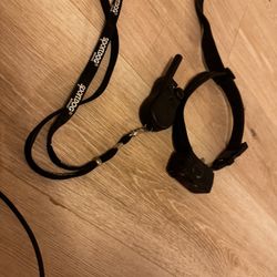E Collar