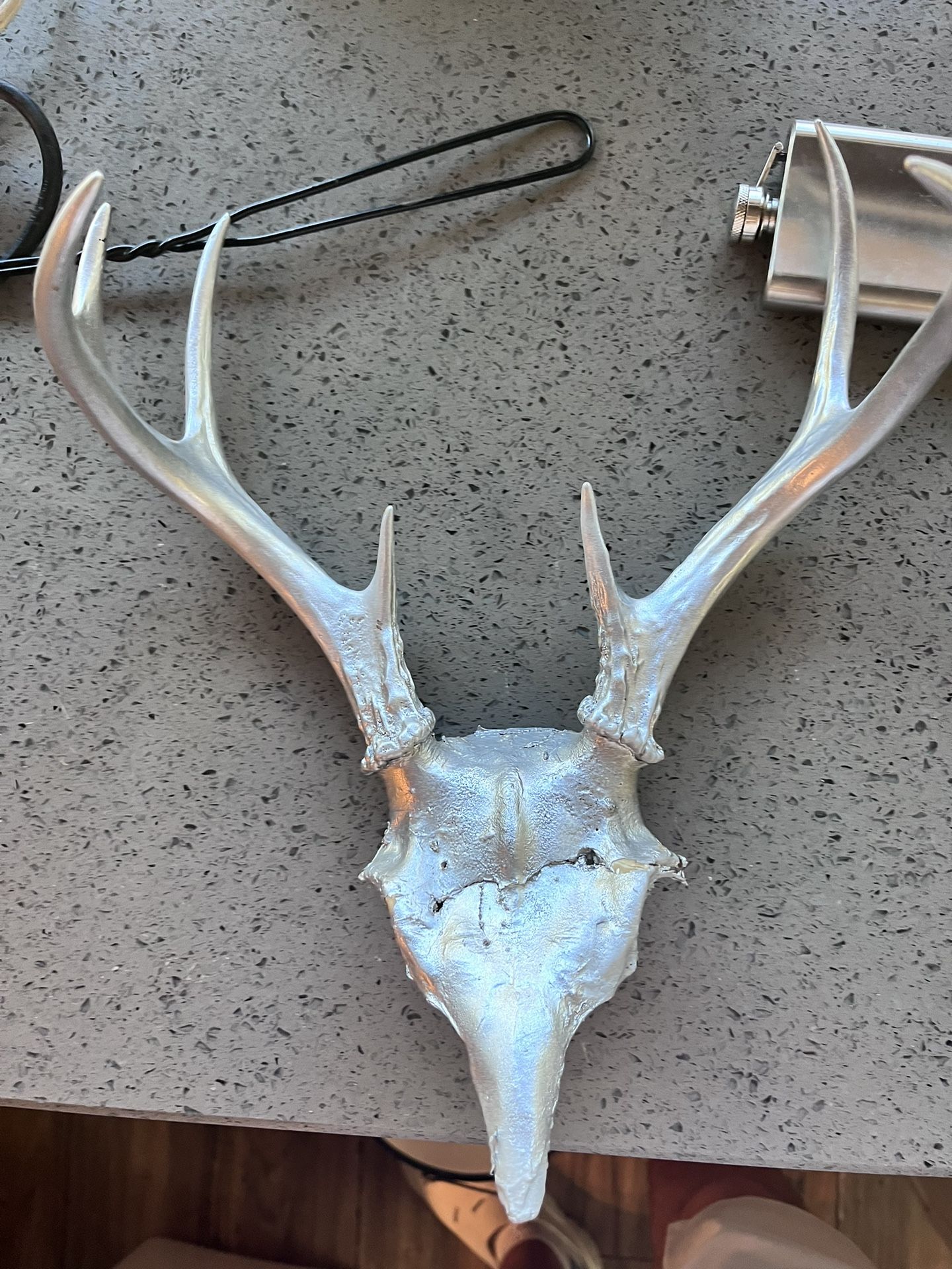 Deer Antlers