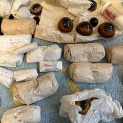 Elk/Caribou/Bear/Moose Eyes 