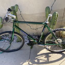 Trek Bike 
