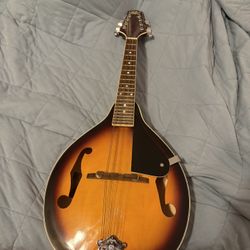 Rogue Mandolin 