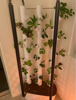 Gardyn - indoor garden