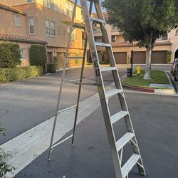 Werner 8 ft. Ladder 225 Lb