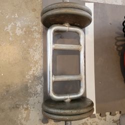 40 Pound Hammer Curl Bar 