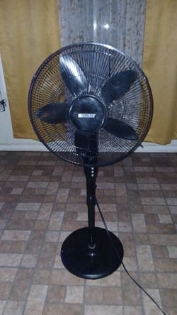 Floor fan