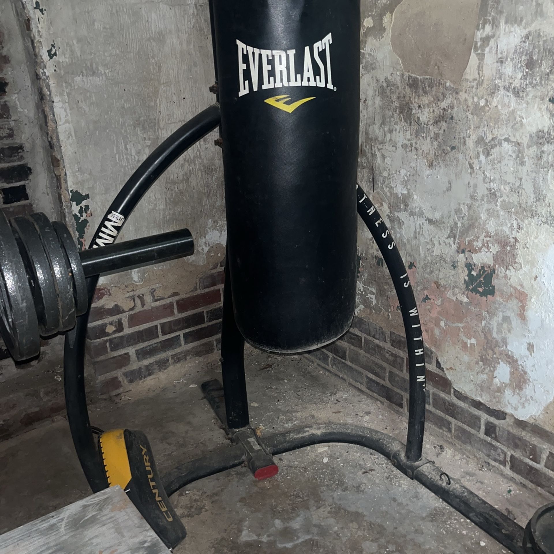 Everlast Punching Bag