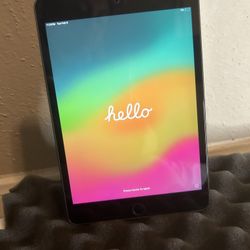 I PAD MINI 5 WIFI + CELL