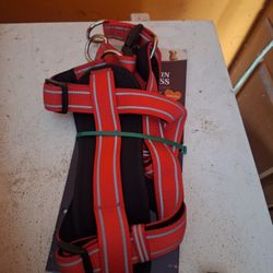 Dog Excessory,  All For $30