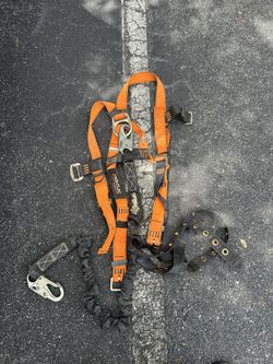 Safety Harness