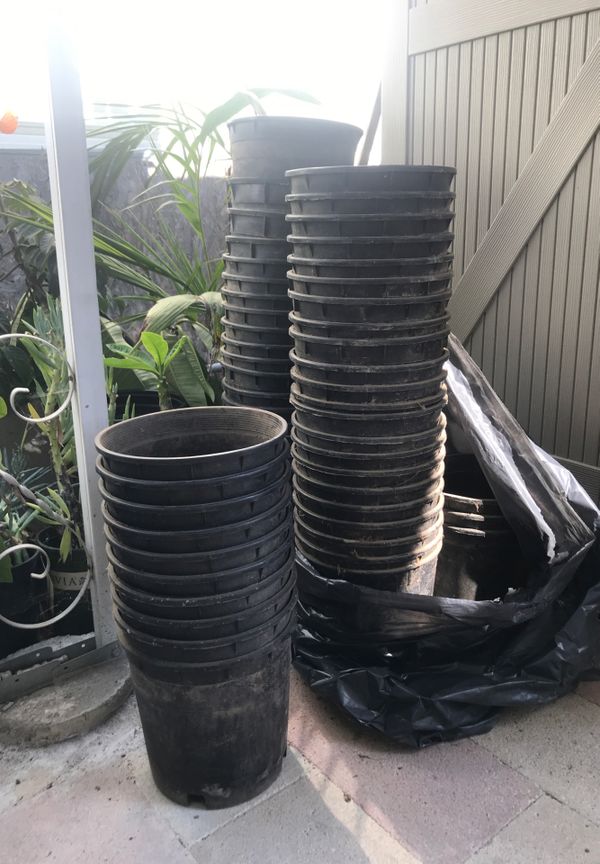 3 Gallon plants pots $1 each for Sale in Spring Valley, CA - OfferUp